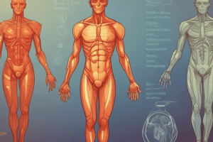 Body Temperature Regulation