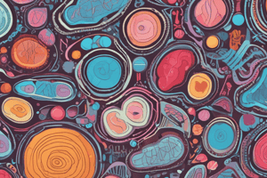 Metabolism: Glucose, Lipid, and Protein Contrasted