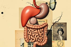 Control of the GI Tract Quiz