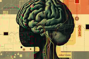 Vision, Neural Processing, and Color Vision