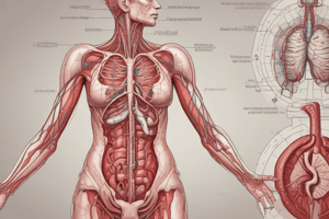 Blood Functions and Composition