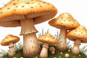 Hericium erinaceus Cultivation Study