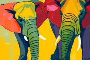 Elephant Communication Insights