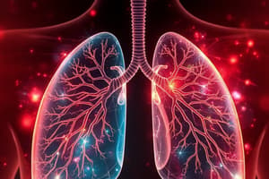 Lungs Function and Anatomy