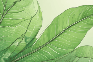 Layers of a Leaf: Plant Structures