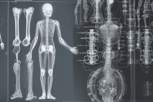 Radiography Image Receptor and Distortion