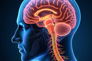 Reticulospinal Tract: Motor Control