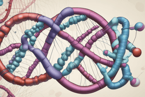 Genetics Chapter 4