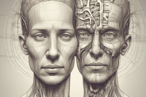 Anatomy LE 6: Neurological Exam and Clinical Correlation of the Nervou System