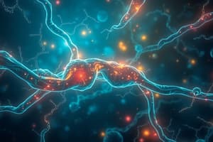 Glycogenesis and Glycogenolysis