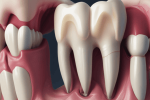 Dental Pulp Structure and Function