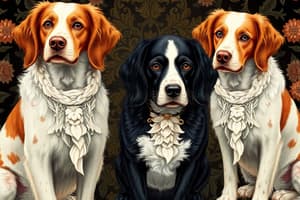 Dog Breeds: Retrievers and Spaniels