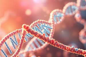 Nucleic Acids: Structure and Function Quiz