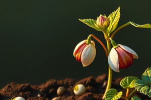 Plant Science: Seed Germination Techniques