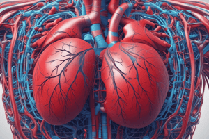 Ch 13 - part 1 Human Circulatory System: Two Circuits Overview