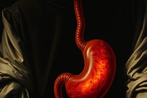 Gastritis: Types, Causes, and Prevention