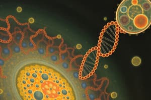 Cell Cycle and Nucleic Acids Overview