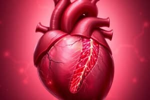 Cardiac Disorders: Patent Ductus Arteriosus