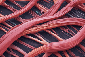 Skeletal Muscle Physiology