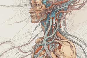 Nervous System Functions