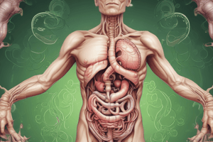 Digestive System Hormones