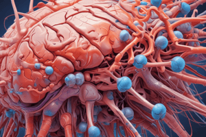 Spinal Cord Meninges Anatomy