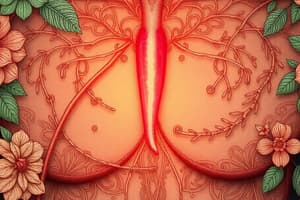 Rôle et structure des testicules