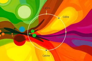 Photosynthesis Overview and Stages