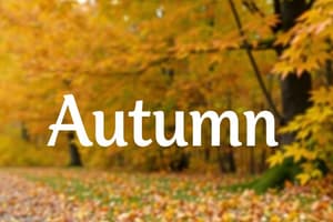 Autumn Vocabulary Quiz