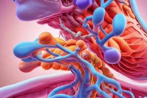 Iodides Absorption and Thyroid Hormone Synthesis