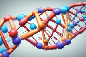 Estructura del ADN