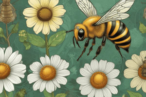 El Bee Boost y mantenimiento de abejas