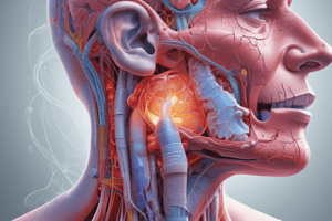 Respiratory System Chapter 22 Quiz