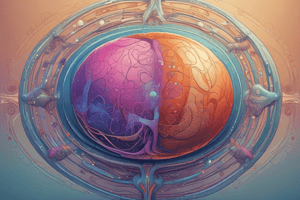 Week 1 of Embryonic Development