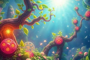 Biology Photosynthesis and Cellular Respiration Quiz