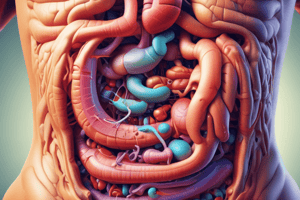 Digestive System Processes Quiz