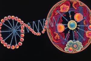 Mitosis and DNA Replication