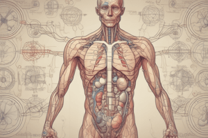 Endocrine System Quiz