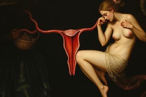 Reproductive System Overview Quiz