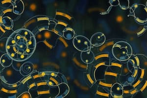 Metabolism: Catabolism and Anabolism