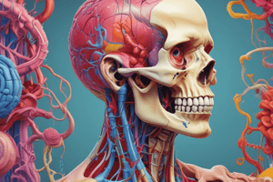 RMIT University Anatomy and Physiology Quiz