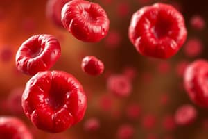 Hematopoiesis and Anemia Overview