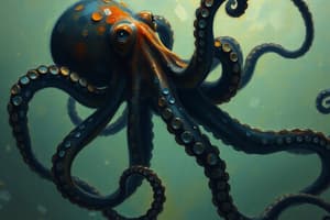 Octopus Hunting Strategies and Cooperation