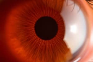 Ophthalmology Quiz: Corneal Abrasion and Uveitis