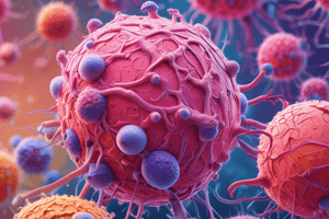 21.4 Secondary Lymphoid Structures