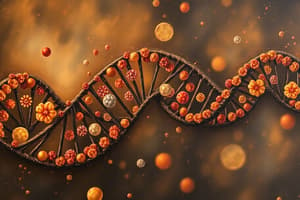 RNA Types and Functions