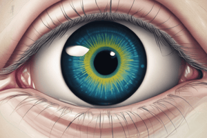 Glaucoma Diagnosis and Testing