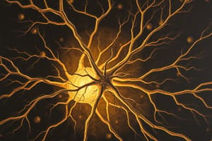 Neuronentheorie und ihre Entdecker