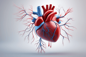 Sistema Cardiovascular