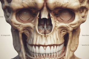 Maxillary Sinus Diseases